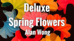 Deluxe Spring Flowers by Alan Wong