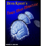 Three Mind Miracles by Devin Knight - ebook - DOWNLOAD