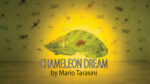 Chameleon Dream by Mario Tarasini video DOWNLOAD - Download