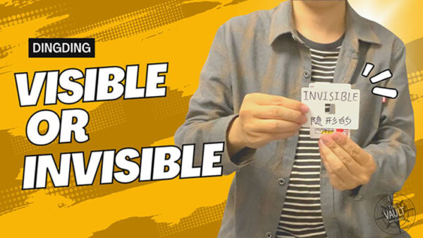 The Vault - Visible or Invisible by Dingding video DOWNLOAD - Download