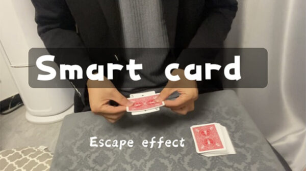 Smart Card by Dingding video DOWNLOAD - Download