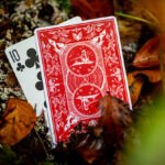 Bonfires Red (includes Card Magic Course) by Adam Wilber and Vulpine