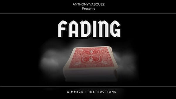 Fading (Red) by Anthony Vasquez