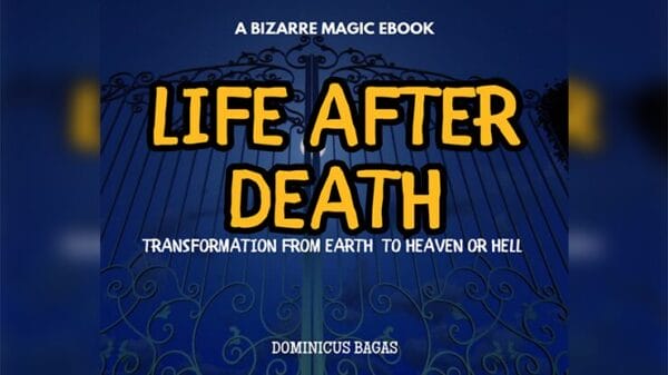 Life After Death by Dominicus Bagas eBook DOWNLOAD - Download