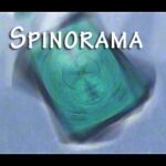 Spinorama by William Lee video DOWNLOAD